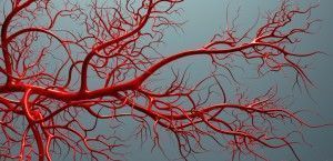 formación de nuevos vasos sanguíneos durante la enfermedad de Parkinson