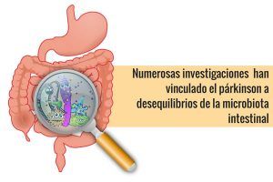 microbiota intestinal y párkinson