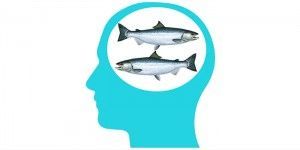 pescado y habilidades cognitivas