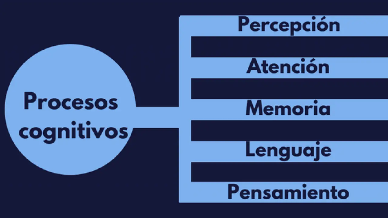 Proceso cognitivo.