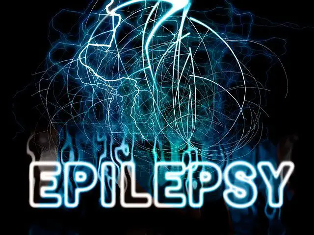 epilepsia y demencia