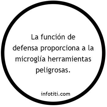 microglia funciones