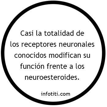 neuroesteroides que es