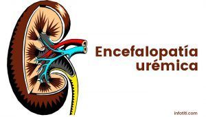 encefalopatía urémica